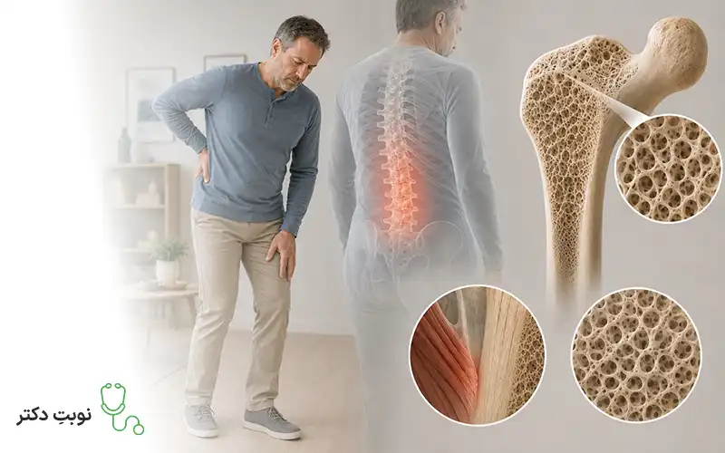 آناتومی استئوپنی