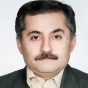 ابوالفضل محمدحسنی