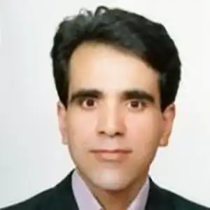 رضا ملاحسینی