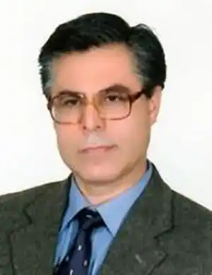شاهرخ ابراهیمی